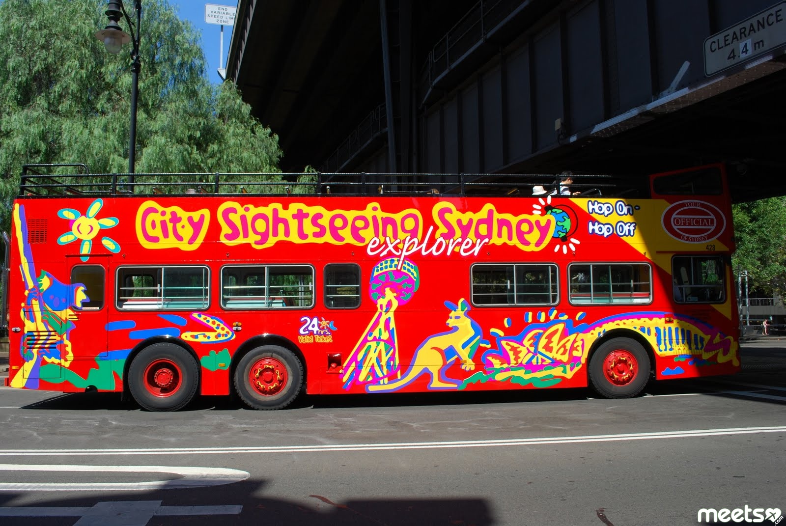 red bus tour sydney