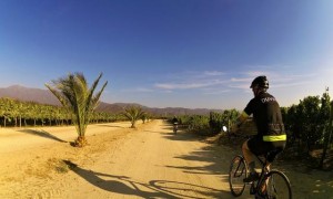 Chile-Bike-Tour-In-The-Vineyards