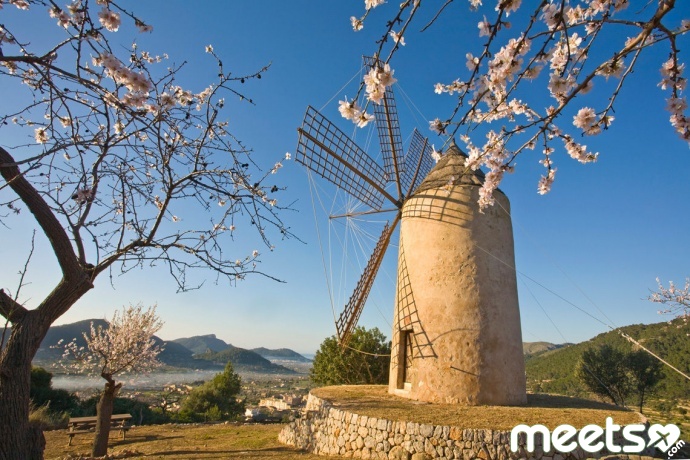 Windmills-of-Mallorca