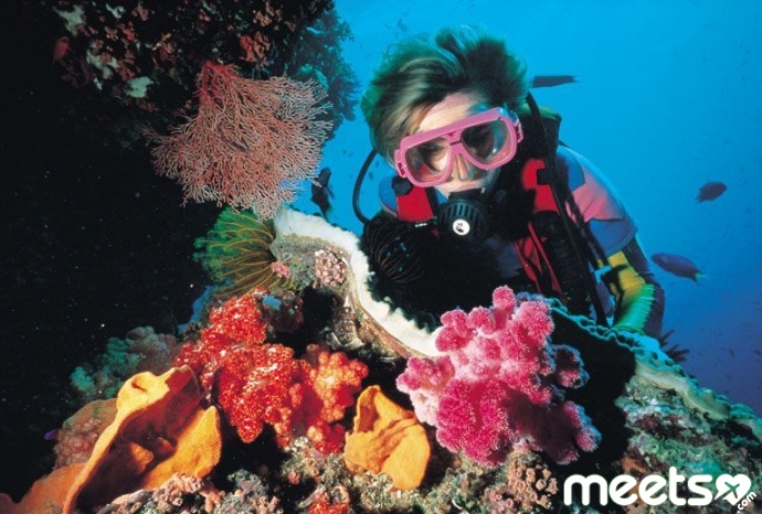 Diving - Great Barrier Reef