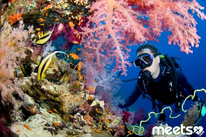 diver-near-coral-reef-egypt[1]
