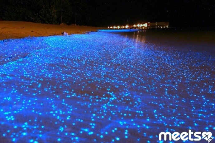 Maldives-Beach-That-Looks-Like-Starry-Night-Sky[1]