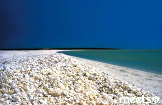Shell-Beach-Shark-Bay-Australia[1]