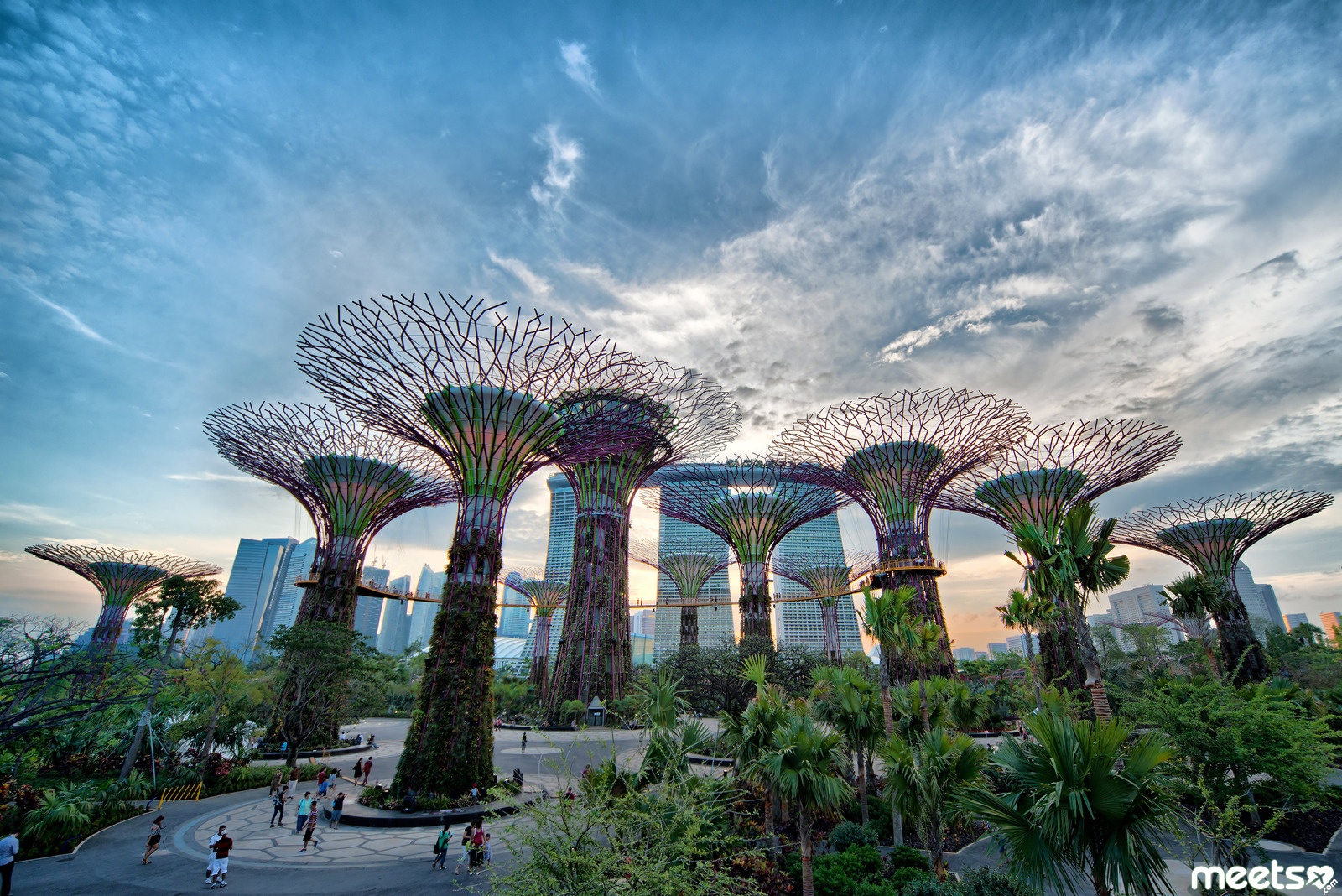 Сингапур. Сингапур парк сады у залива. Сингапур Марина Бэй Гарден. Сингапур Марина Бэй сад. Сингапур роща сверхдеревьев.