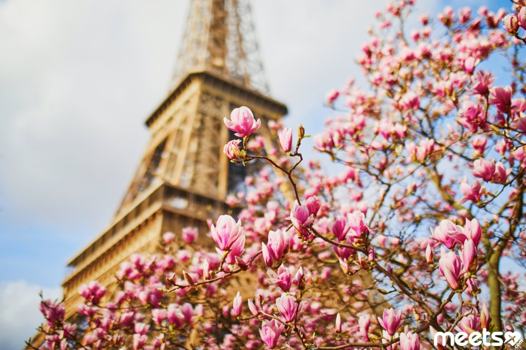 Paris in spring