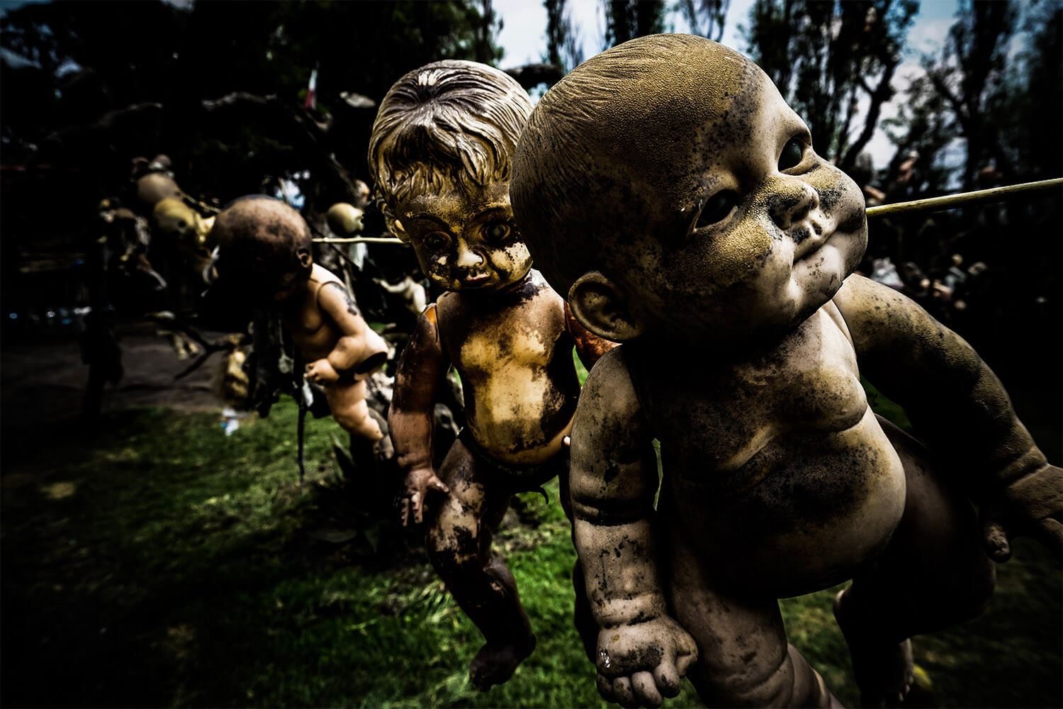 Остров кукол. Остров кукол (Island of the Dolls), Мексика. Остров кукол Сочимилько. Остров кукол Сантана Баррера. Остров мертвых кукол в Мексике.